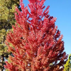 Meet your Posher, Joanne